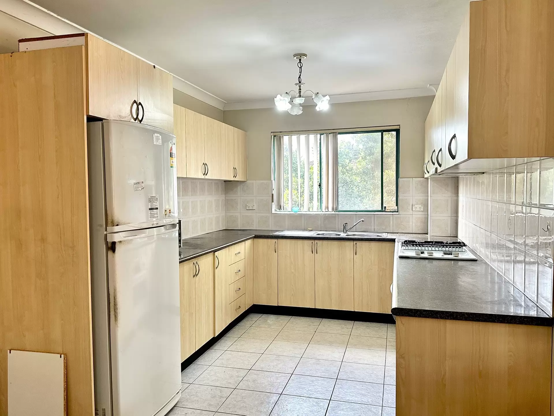10/31-35 Loftus Street, Campsie Leased by ArthurJames Real Estate (formerly Robert R. Andrews) - image 1