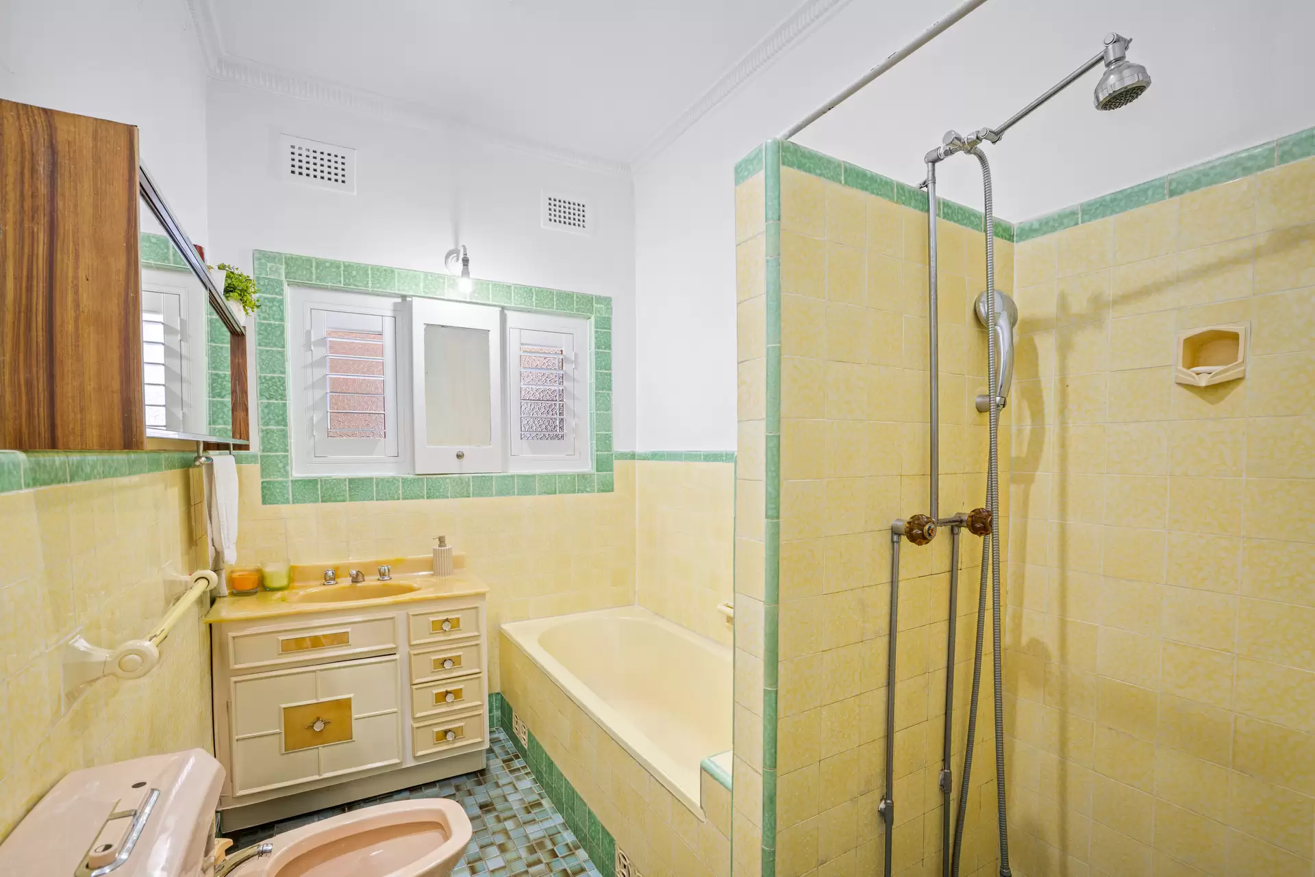 66 Lily Street, Hurstville Sold by ArthurJames Real Estate (formerly Robert R. Andrews) - image 1
